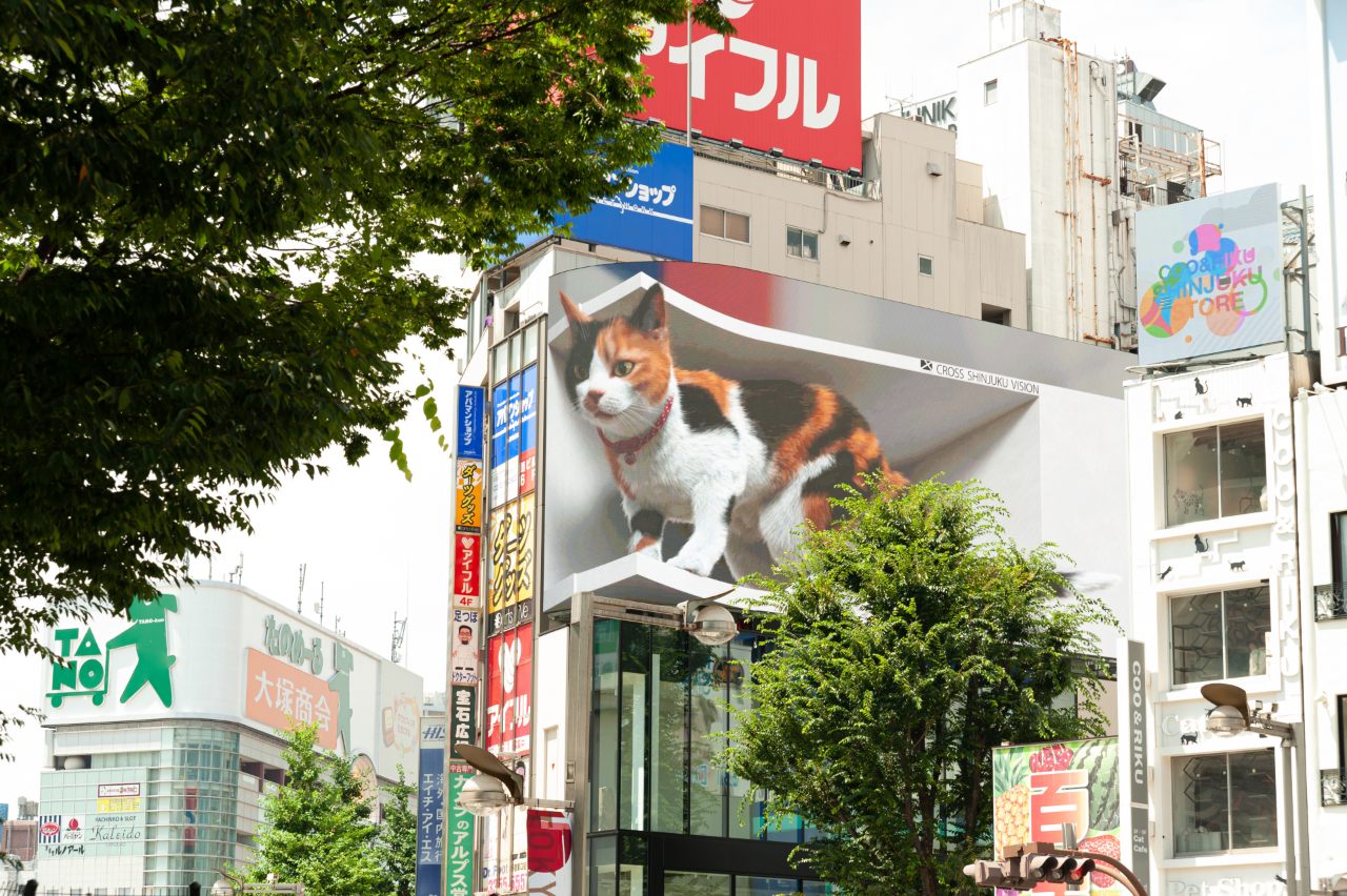Eye catching image of cat example of how to advertise in Japan