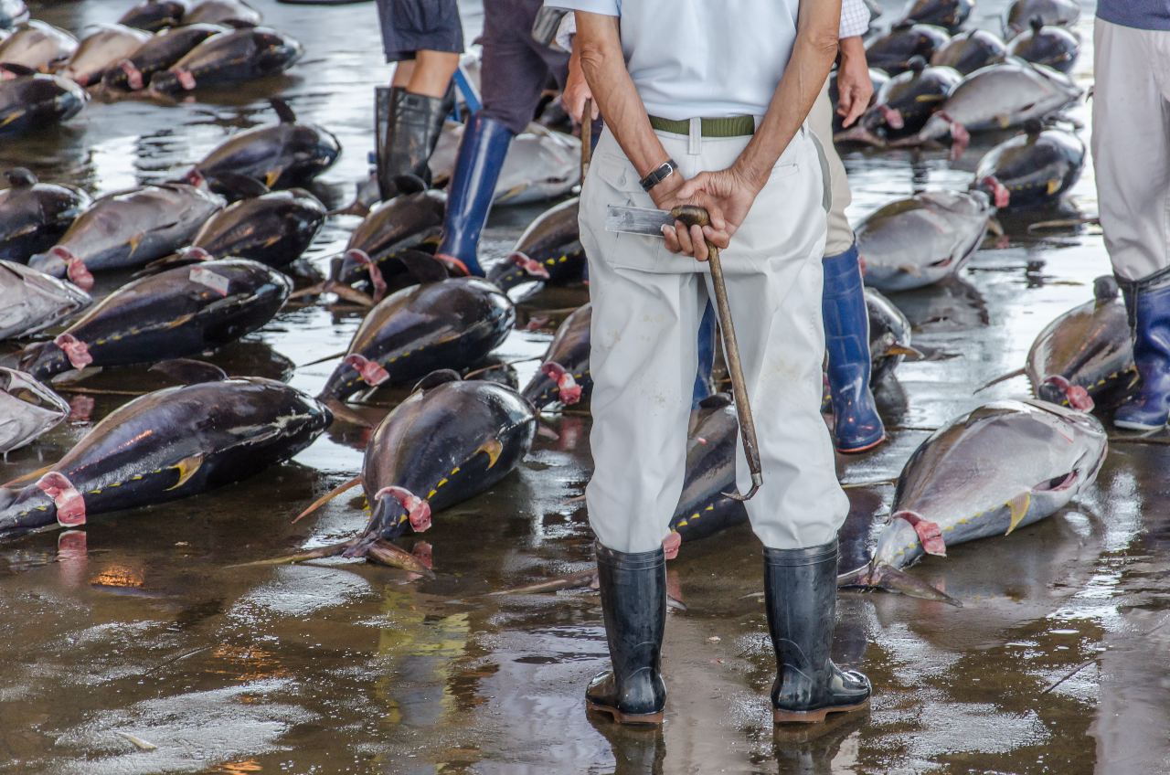 Japanese fishing market showcasing weaknesses of environmental sustainability in Japan