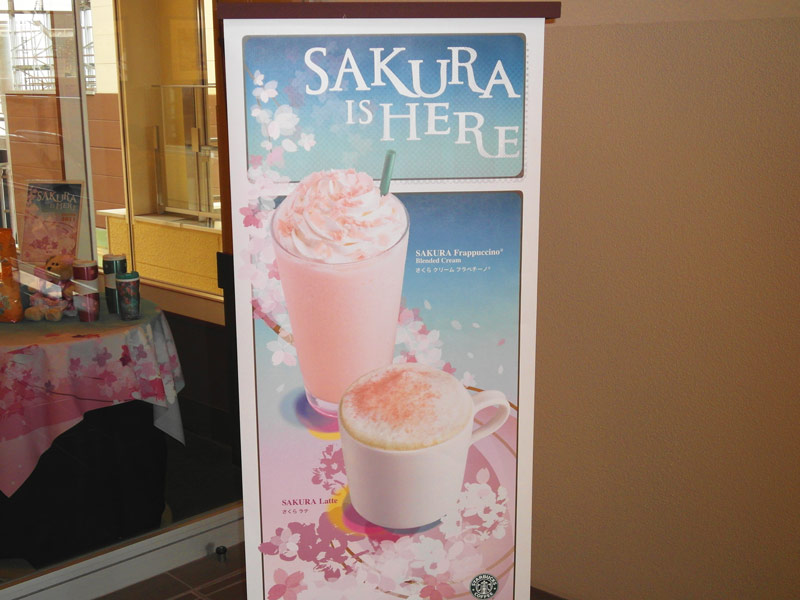 starbucks sakura drink poster